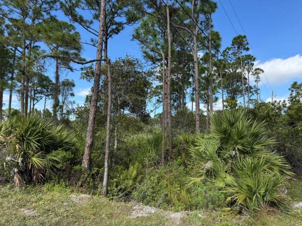 Fort Pierce Residential, 0 Tree Top Trail, Fort Pierce, Florida 34951, image 1