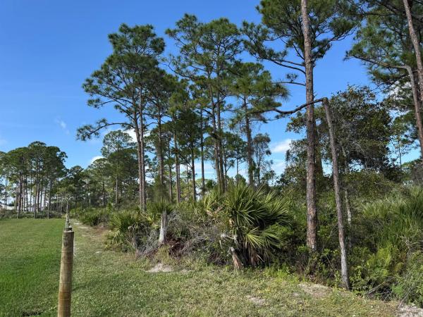 Fort Pierce Residential, 0 Tree Top Trail, Fort Pierce, Florida 34951, image 2