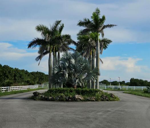 White Fences Equestrian Estates, 3225 Frog Holw, Loxahatchee, Florida 33470, image 2