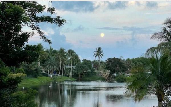 Lake Floresta Park, 299 NW 10th Ct, Boca Raton, Florida 33486, image 1