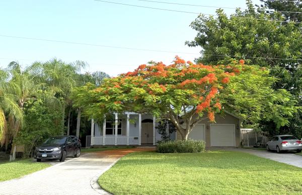 Conference Lake Estates, 575 NW 7th St, Boca Raton, Florida 33432, image 1