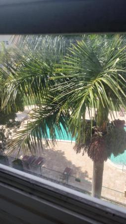 Meadowbrook Towers, 218 NE 12th Ave #506, Hallandale Beach, Florida 33009, image 1