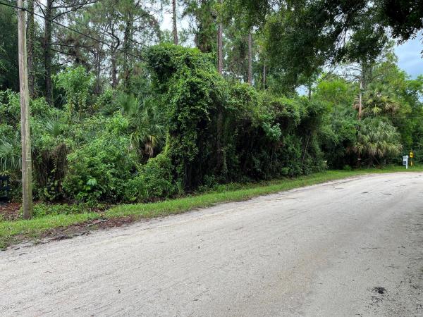 Jupiter Farms, Tbd 175th Rd, Jupiter, Florida 33478, image 1