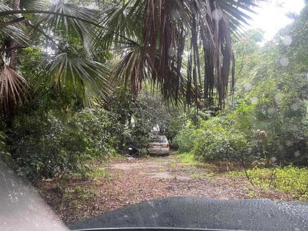 Loxahatchee Groves, 3637 C Rd, Loxahatchee, Florida 33470, image 1