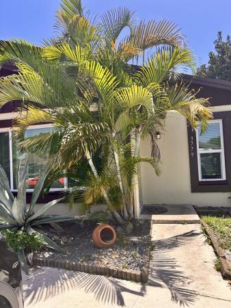 Mil Lake Estates, 3779 Mil Pond Ct, Greenacres, Florida 33463, image 1