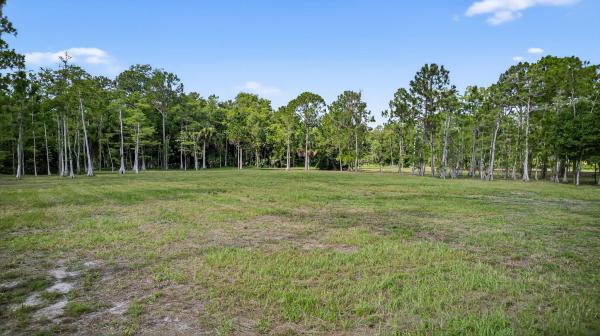 Deer Run, 2790 Doe Trl, Loxahatchee, Florida 33470, image 2