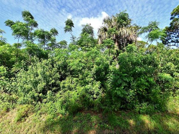 Silver Lake Park, 0 Oleander Avenue, Fort Pierce, Florida 34982, image 1
