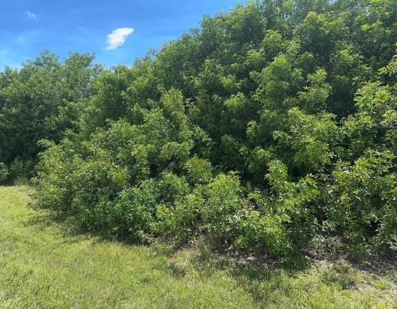 0 SW Village Sw Parkway SW, Port St. Lucie, Florida 34987, image 1