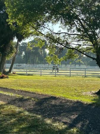 Loxahatchee Groves, 14095 Biddex Rd, Loxahatchee, Florida 33470, image 1
