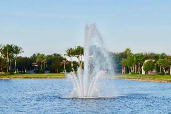 Valencia Falls, 13250 Alhambra Lake Cir, Delray Beach, Florida 33446, image 1
