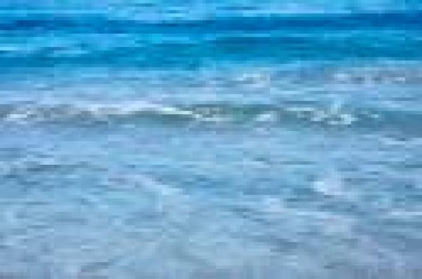Eden Properties, 220 Eden Rd, Palm Beach, Florida 33480, image 1