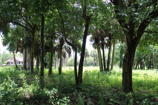 Fox Trail, 1275 Arabian Dr, Loxahatchee, Florida 33470, image 1