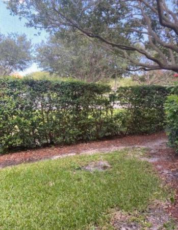 Lighthouse Cove At Tequesta, 254 Village 4106th Blvd #4106, Tequesta, Florida 33469, image 1