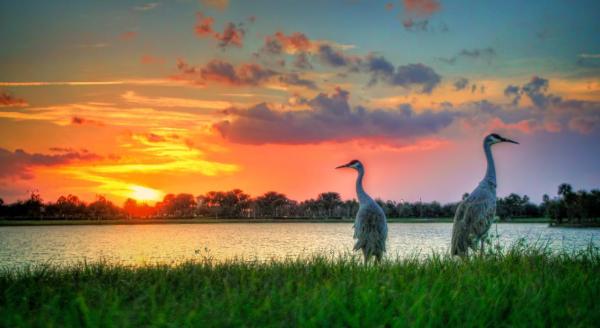 Gatlin Pines, 3009 SW Savona Blvd, Port St. Lucie, Florida 34953, image 1