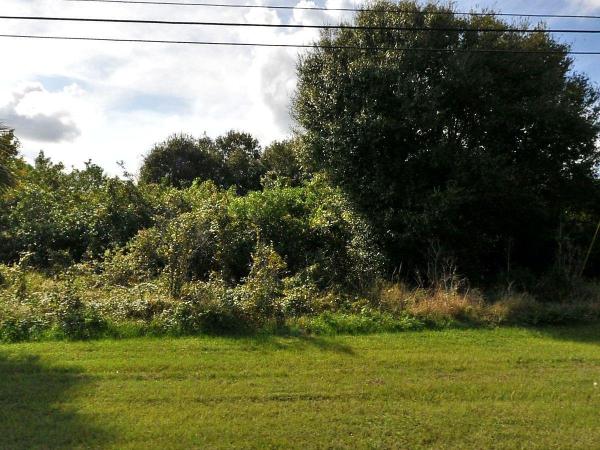 3950 SW Port St Lucie Blvd, Port St. Lucie, Florida 34953, image 1