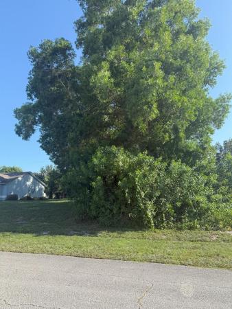 2808 SW Ann Arbor Rd, Port St. Lucie, Florida 34953, image 1