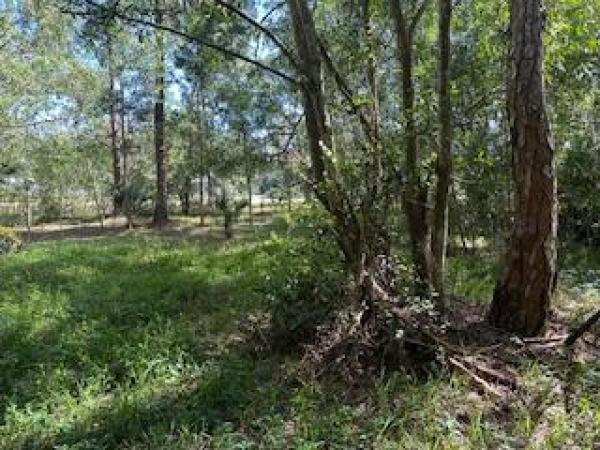 The Acreage, 000 129th Ave, Royal Palm Beach, Florida 33411, image 1