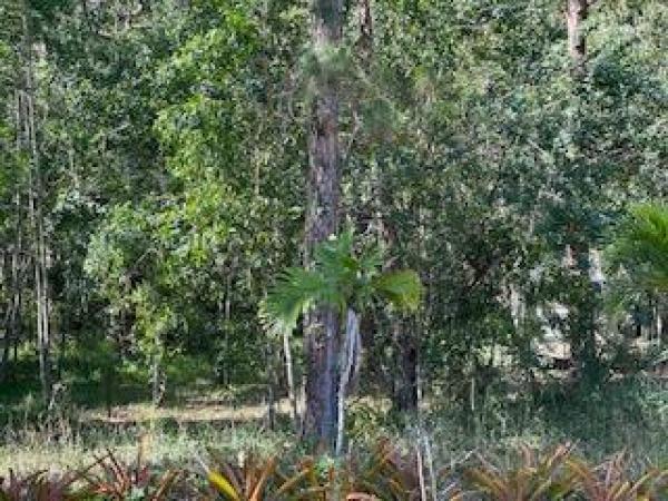 The Acreage, 000 129th Ave, West Palm Beach, Florida 33411, image 2