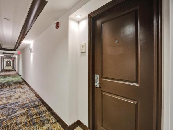 Palmetto Place, 99 SE Mizner Blvd #213, Boca Raton, Florida 33432, image 1