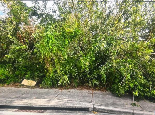 San Lucie Plaza, 0 N 25th Street, Fort Pierce, FL 34947, Fort Pierce, Florida 34947, image 2
