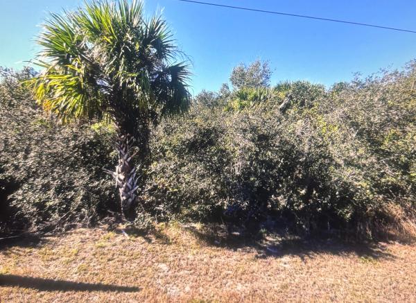 0 Old Dixie N Hwy, Fort Pierce, Florida 34946, image 1