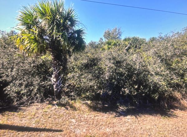 Fort Pierce Residential, 0 Old Dixie N Hwy, Fort Pierce, Florida 34946, image 2