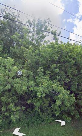 Torino, 5246 NW Piper Cir, Port St. Lucie, Florida 34986, image 1