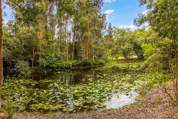 Loxahatchee Groves Residential, 15884 North Rd, Loxahatchee Groves, Florida 33470, image 2