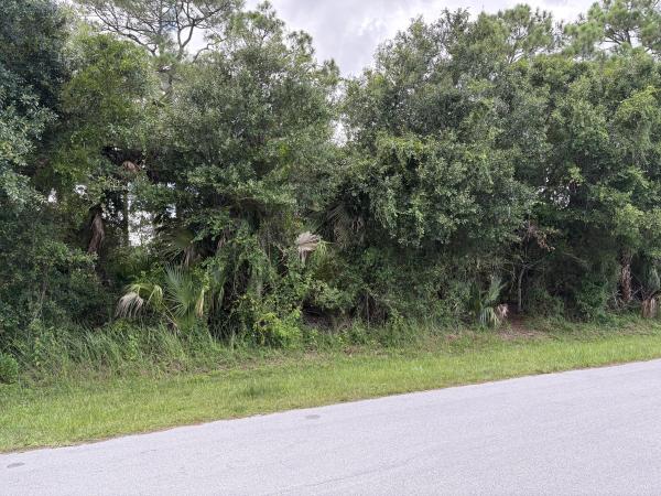 Palm Trails, 1772 SW Cochran St, Port St. Lucie, Florida 34952, image 1