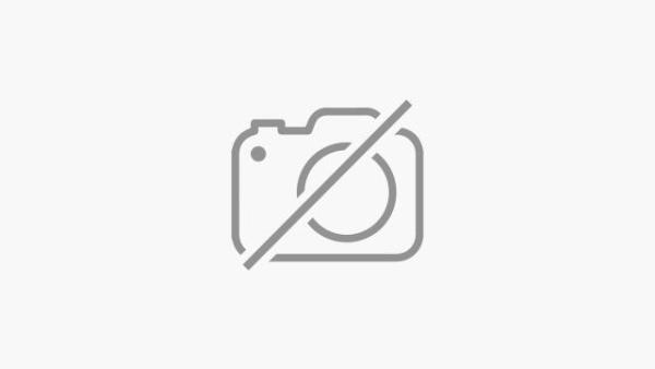 16384 Bancroft Gardens Ln, Westlake, Florida 33470, image 1