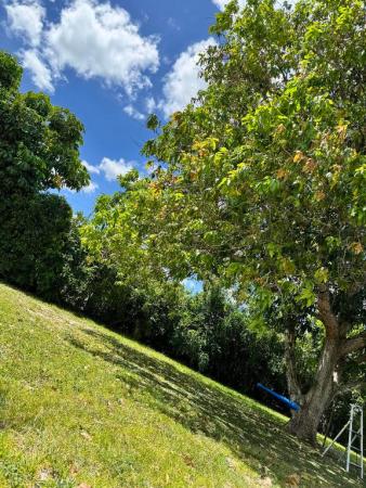 Chevy Chase, 4320 NW 107th Ave, Coral Springs, Florida 33065, image 1