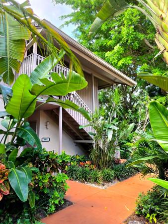6957 Rain Forest Dr #E 4 U, Boca Raton, Florida 33434, image 1