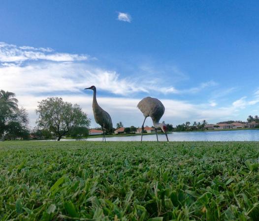 RiverWalk, 7925 Nile River Rd, West Palm Beach, Florida 33411, image 3