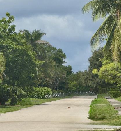 Delray Garden Estates, 5239 Sunrise Blvd, Delray Beach, Florida 33484, image 1