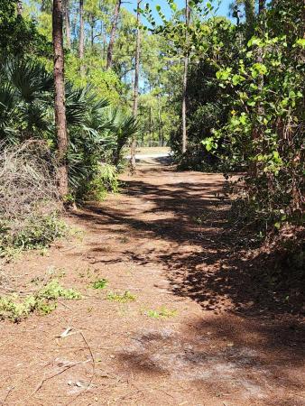 The Acreage Residential, 16784 84th Ct, The Acreage, Florida 33470, image 1