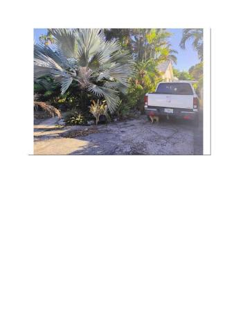 Lake Worth Heights, 1221 18th Ave, Lake Worth Beach, Florida 33460, image 1