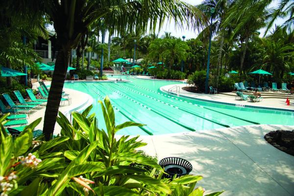 Willow Wood Midrise At Boca Country Club, 6815 Willow Wood Dr #4023, Boca Raton, Florida 33434, image 2