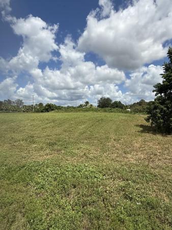 The Acreage Residential, 0 0 Mandarin Boulevard, The Acreage, FL 33470, The Acreage, Florida 33470, image 3