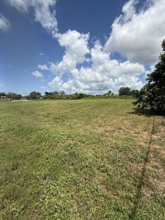The Acreage Residential, 0 0 Mandarin Boulevard, The Acreage, FL 33470, The Acreage, Florida 33470, image 2