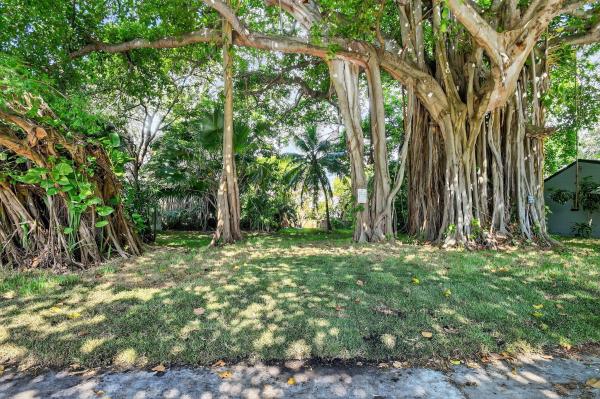 Lake Worth Town, 523 S M 1st St #1, Lake Worth Beach, Florida 33460, image 1