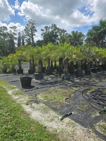 Loxahatchee Groves Residential, 1520 B Rd, Loxahatchee Groves, Florida 33470, image 2