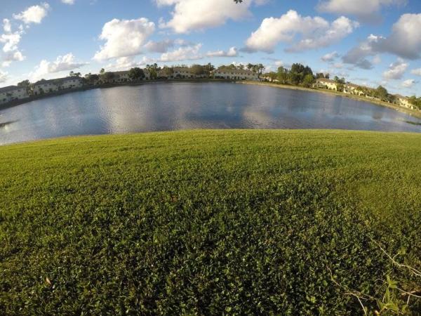 Independence Cove, 1190 Imperial Lake Rd, West Palm Beach, Florida 33413, image 1