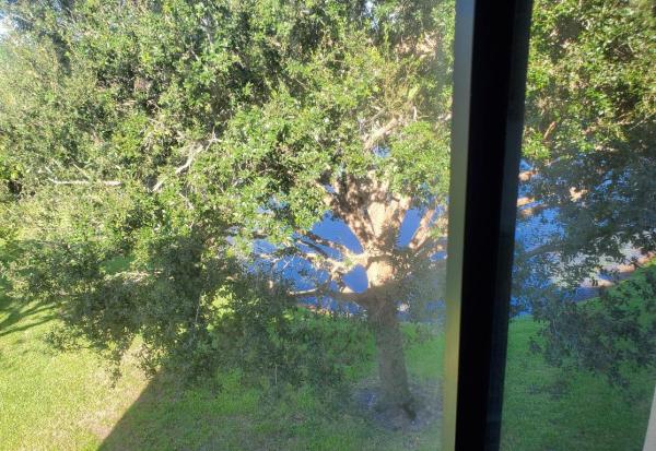 Pine Ridge North 2, 629 Sea Pine Way #H3, Greenacres, Florida 33415, image 1