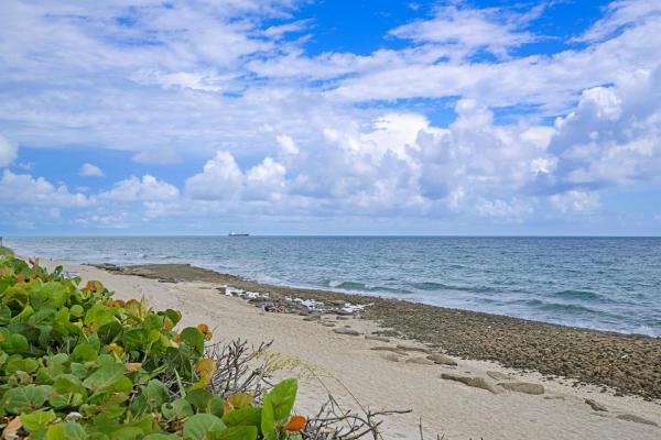 Cote D'Azur, 4200 N Ocean Dr 2-304, Riviera Beach, Florida 33404, image 1