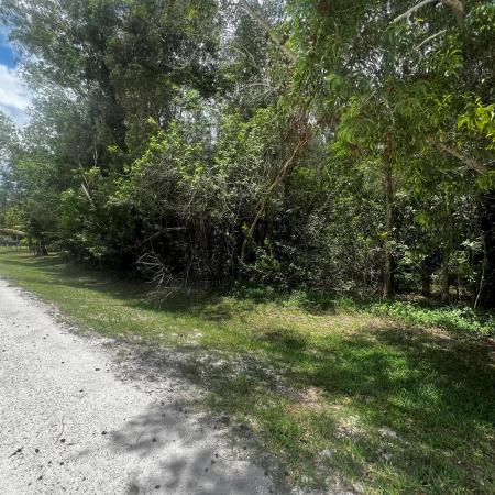 The Acreage Residential, The Acreage, Florida 33412, image 1