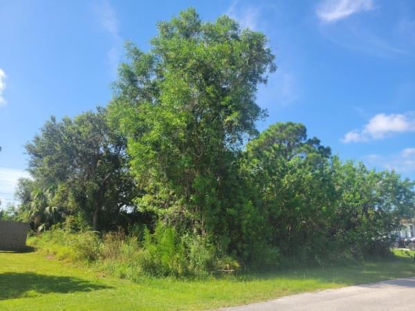 Tulip Park, 474 SW Kaabe Ave, Port St. Lucie, Florida 34953, image 1