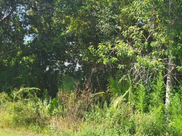 Tulip Park, 474 SW Kaabe Ave, Port St. Lucie, Florida 34953, image 2