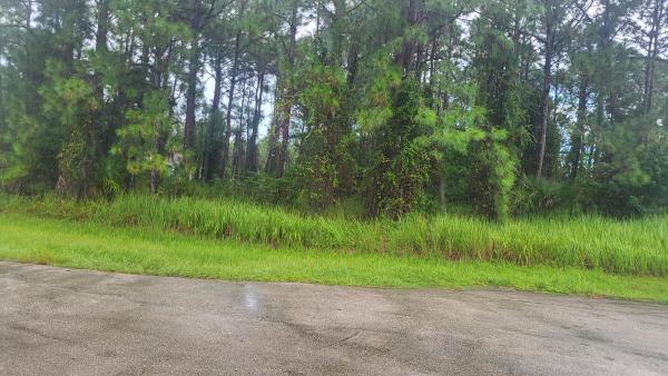 Torino, 5928 NW Wesley Rd, Port St. Lucie, Florida 34986, image 2