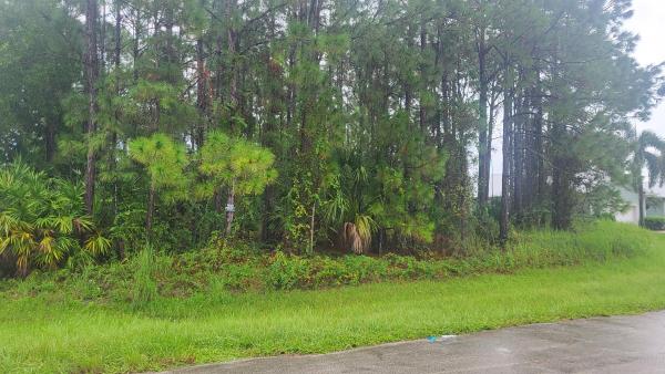 Torino, 6443 NW Fir Ct, Port St. Lucie, Florida 34986, image 2
