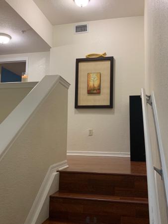 Cypress Pointe At Turtle Run, 6354 W Sample Rd, Coral Springs, Florida 33067, image 1